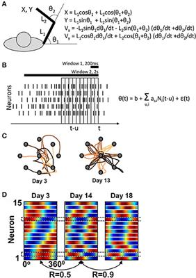 Commentary: Emergence of a Stable Cortical Map for Neuroprosthetic Control